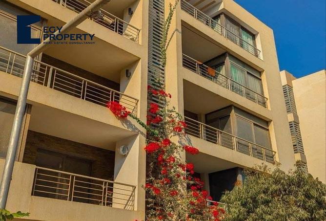 8053866 - Property Image 3