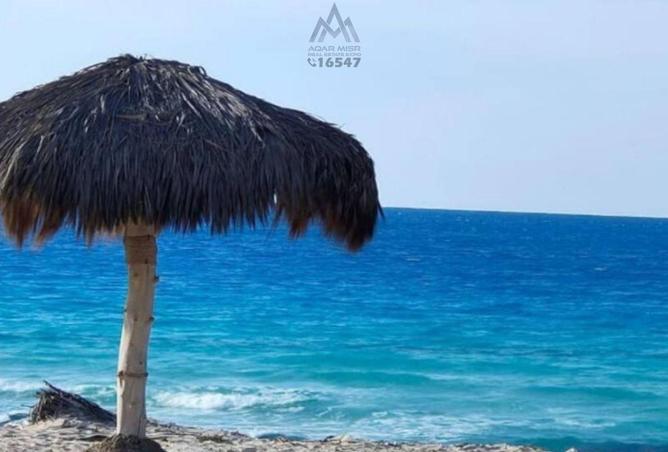 8295829 - صورة العقار 2