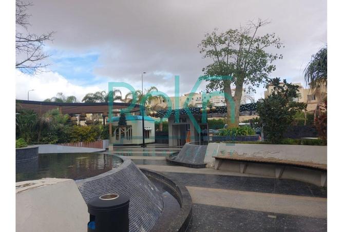 8394955 - Property Image 2