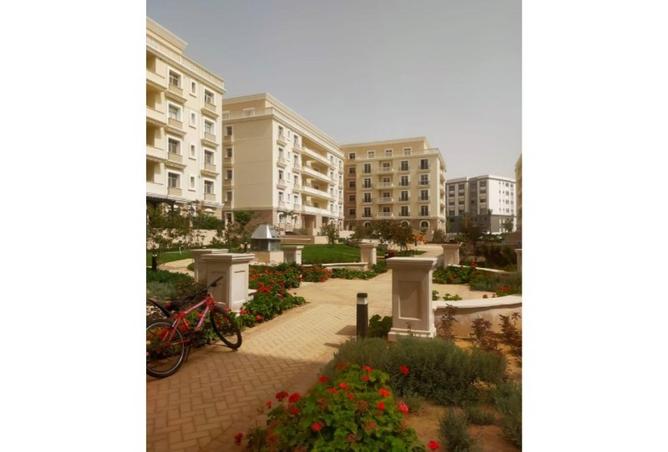 7917877 - Property Image 2