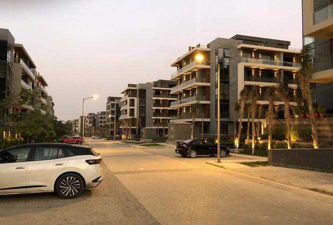 8259707 - Property Image 3