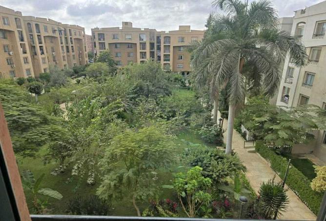 8196634 - Property Image 3