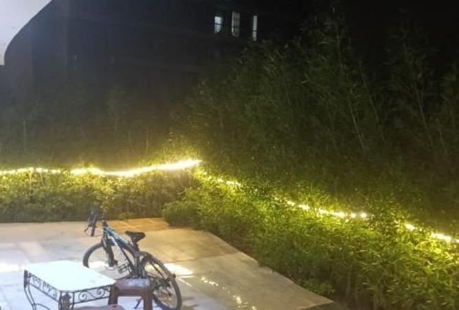 8180693 - صورة العقار 3