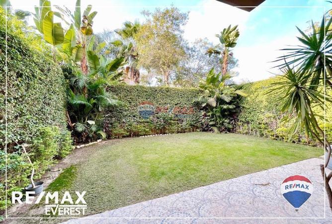 7986776 - Property Image 2