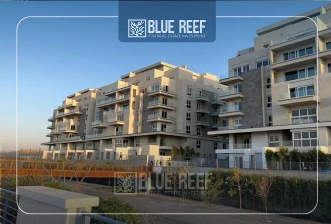 8451257 - Property Image 2