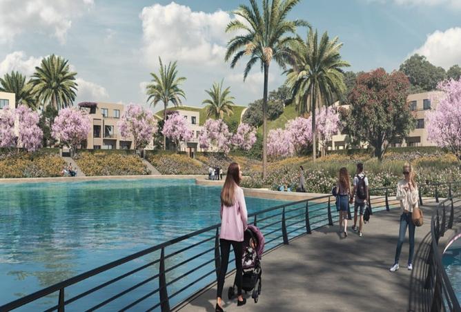 8204918 - صورة العقار 2