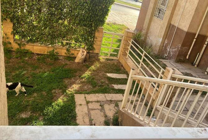 8006910 - صورة العقار 3