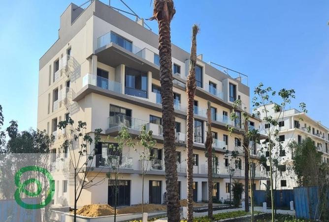 8442004 - Property Image 3