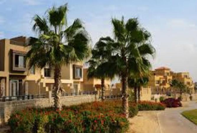 8008034 - صورة العقار 3