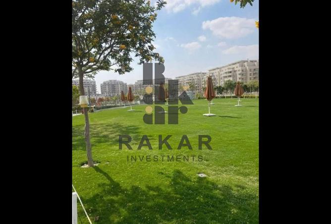 8082376 - صورة العقار 2