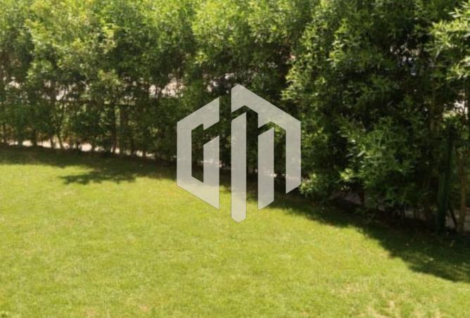 8269406 - Property Image 3