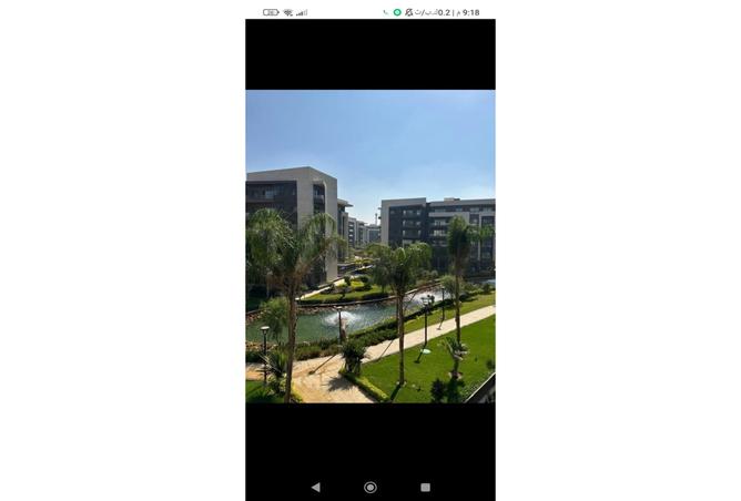 7973103 - صورة العقار 2