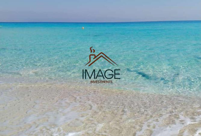 8384784 - صورة العقار 2