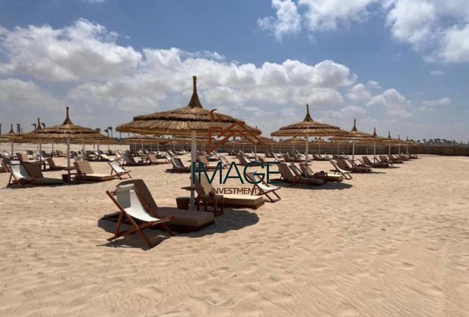 8455617 - Property Image 3