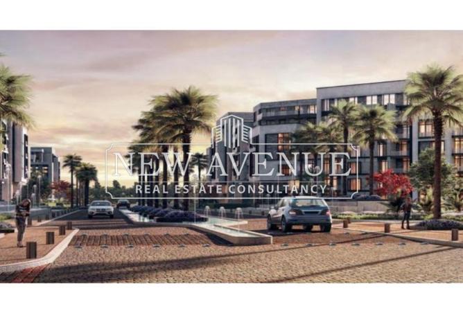 8090357 - Property Image 3