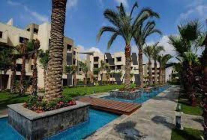 8248608 - Property Image 3