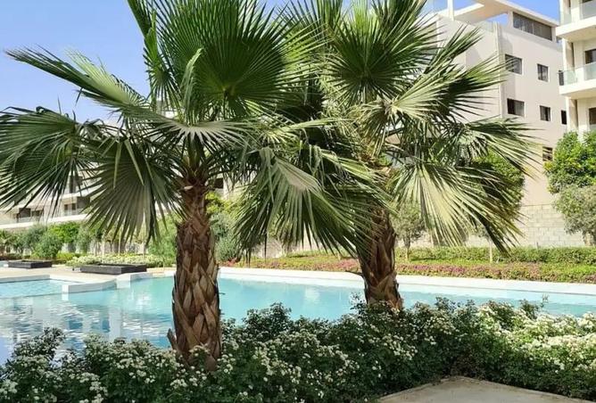 8213162 - صورة العقار 3