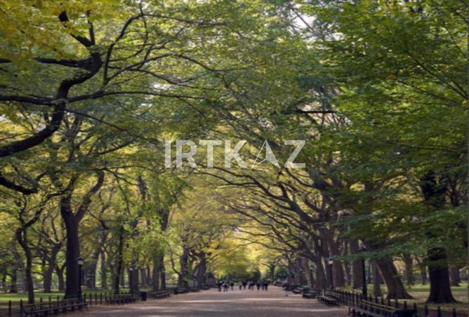 8261985 - Property Image 3