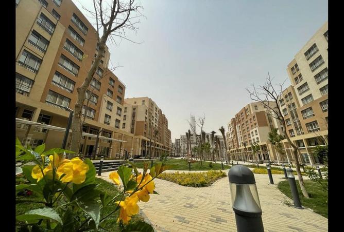 8133745 - Property Image 3