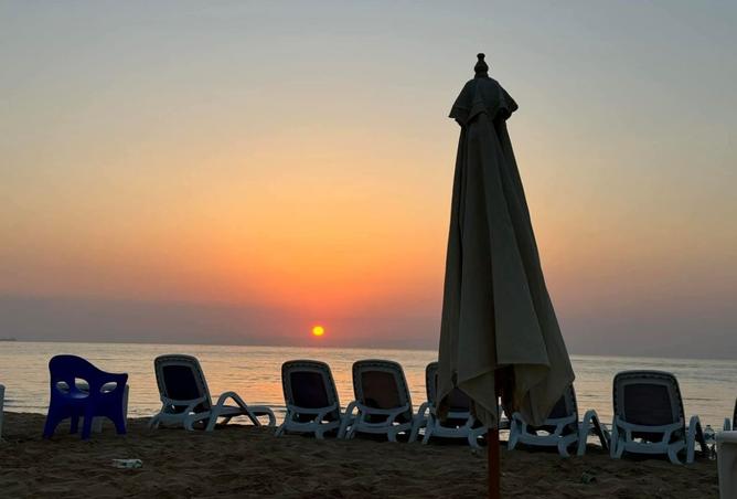 8008874 - صورة العقار 2