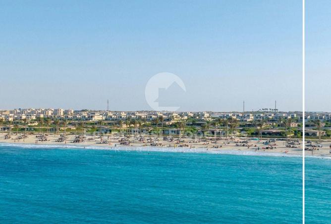 7950555 - صورة العقار 3
