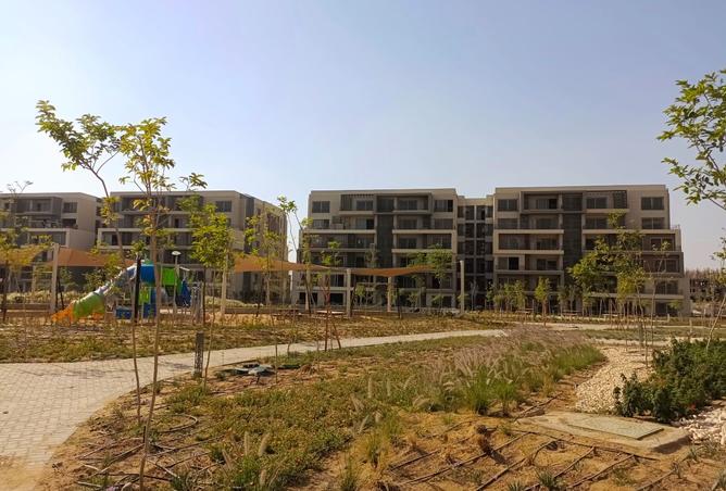 8292868 - صورة العقار 3