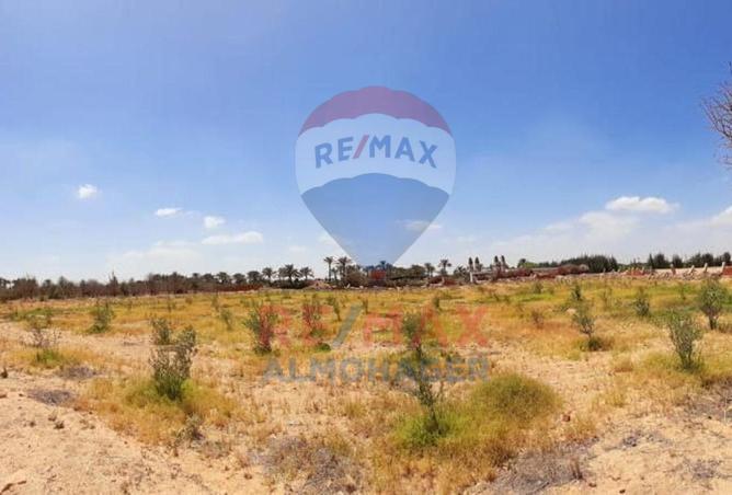 8023527 - Property Image 3