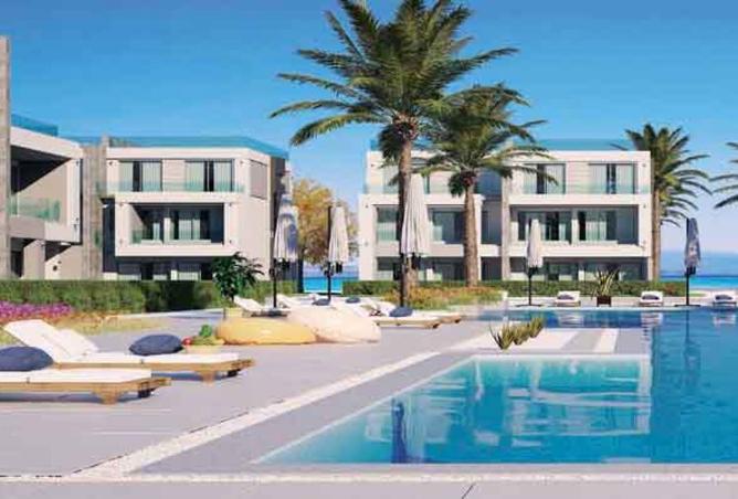 8239563 - صورة العقار 2