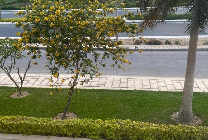 8420453 - Property Image 3