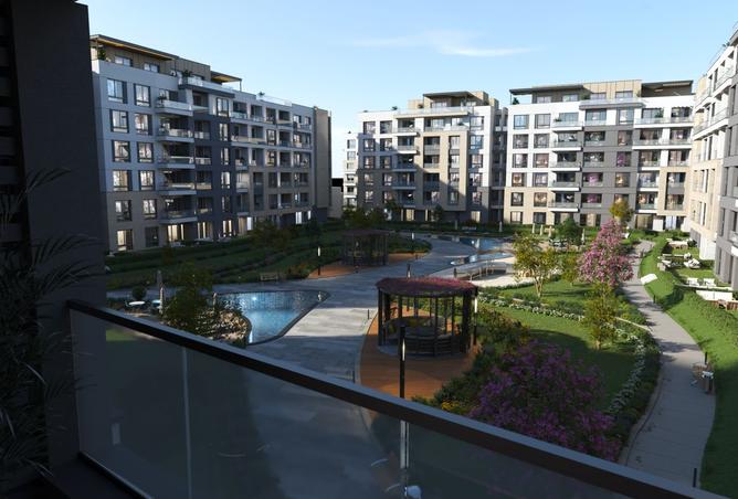 8116507 - Property Image 3