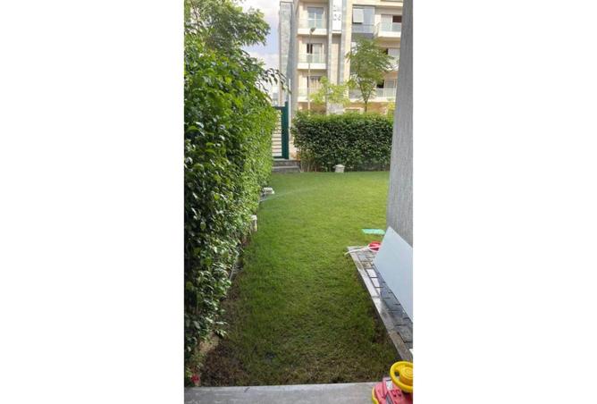 7940903 - صورة العقار 2