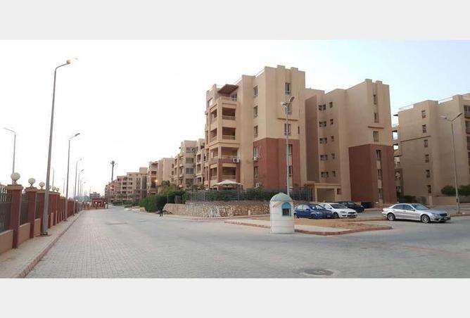 4237790 - صورة العقار 3