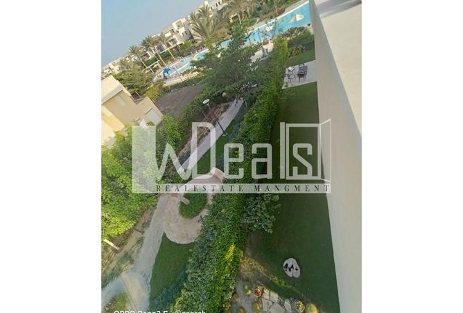 8042225 - صورة العقار 3