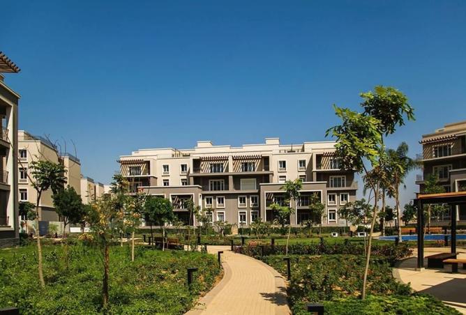 8273462 - Property Image 2