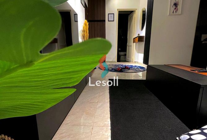 8116034 - Property Image 3