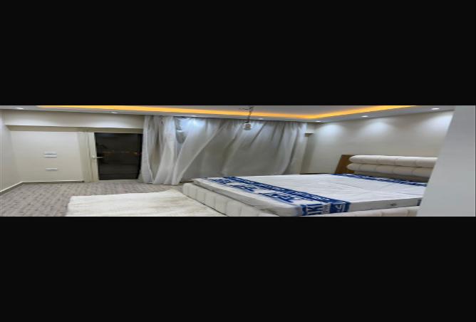7989291 - Property Image 3