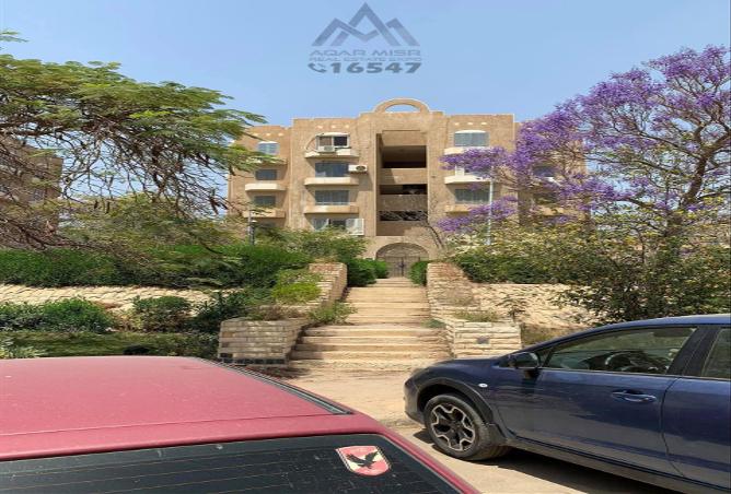 7981029 - الصورة الرئيسية للعقار