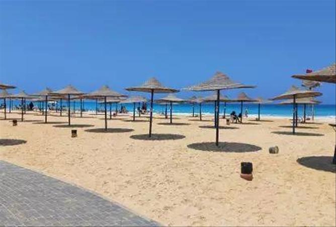 7982289 - صورة العقار 3