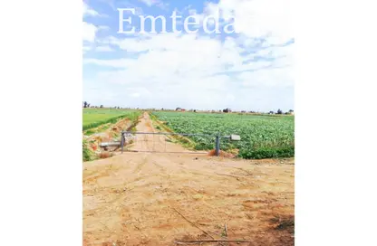 مزرعة - استوديو للبيع في طريق الفيوم الصحراوى - مدينة 6 أكتوبر - الجيزة