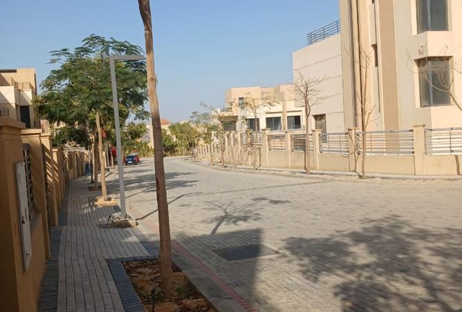 8036248 - Property Image 3