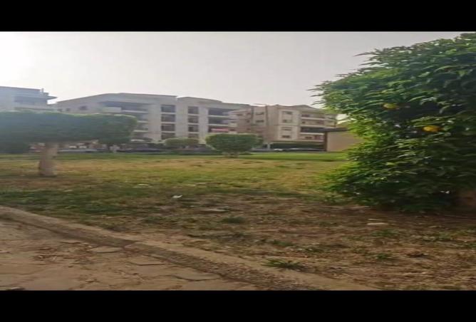 8253466 - صورة العقار 2