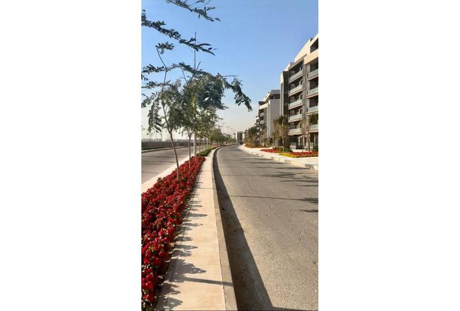 8493570 - صورة العقار 3