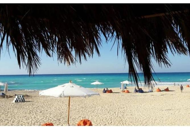 8464585 - الصورة الرئيسية للعقار