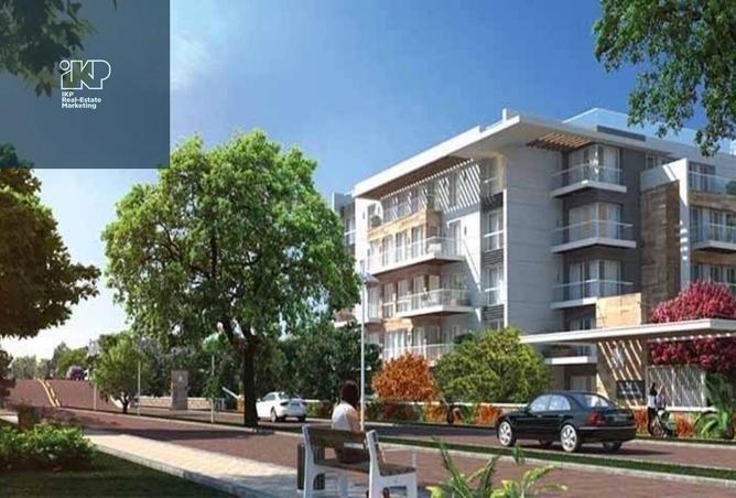 8004019 - Property Image 3