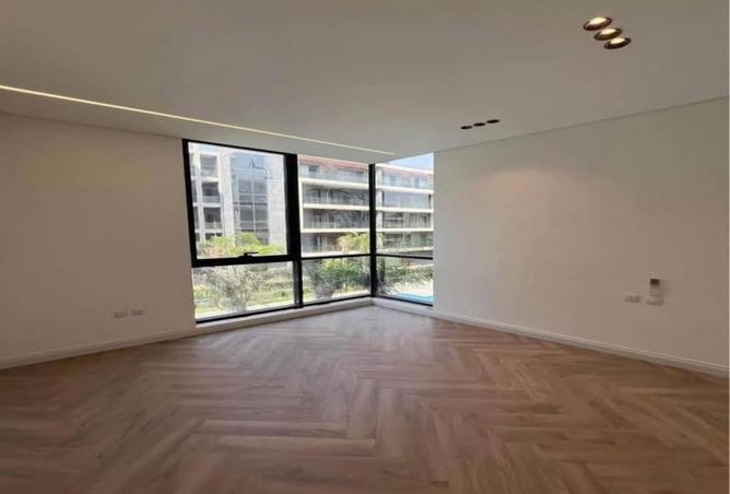 8161384 - Property Image 3