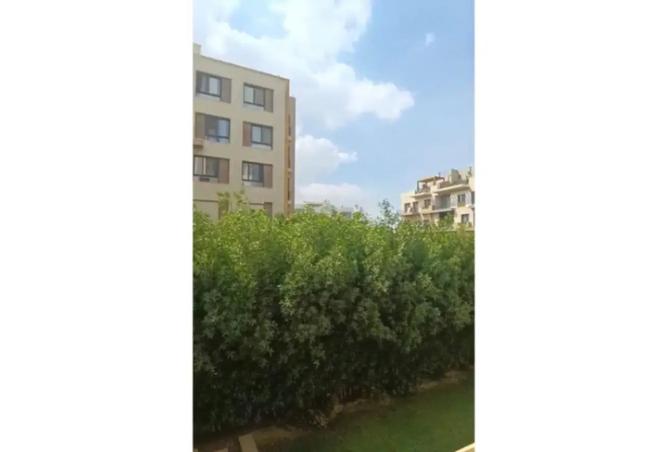 8289819 - Property Image 2