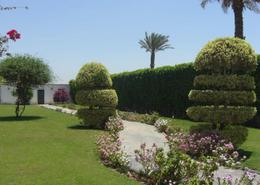 Villa - 7 bedrooms - 5 bathrooms for للبيع in Al Mansouria Rd - Mashal - El Haram - Hay El Haram - Giza Villa - 7 bedrooms - 5 bathrooms for للبيع in Al Mansouria Rd - Mashal - El Haram - Hay El Haram - Giza