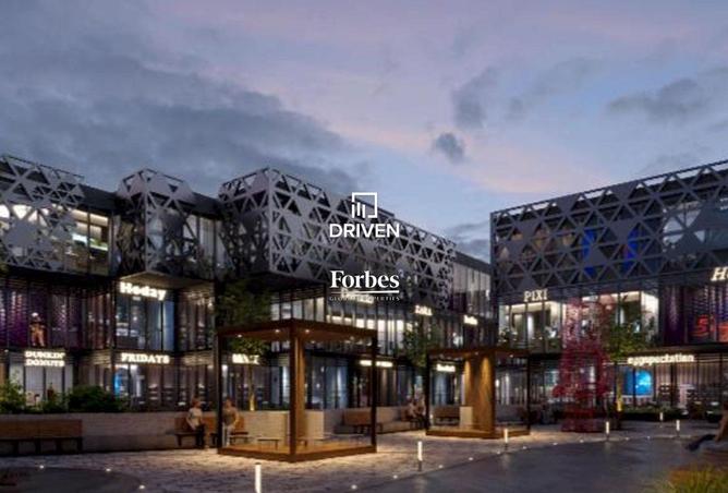 8203795 - Property Image 3