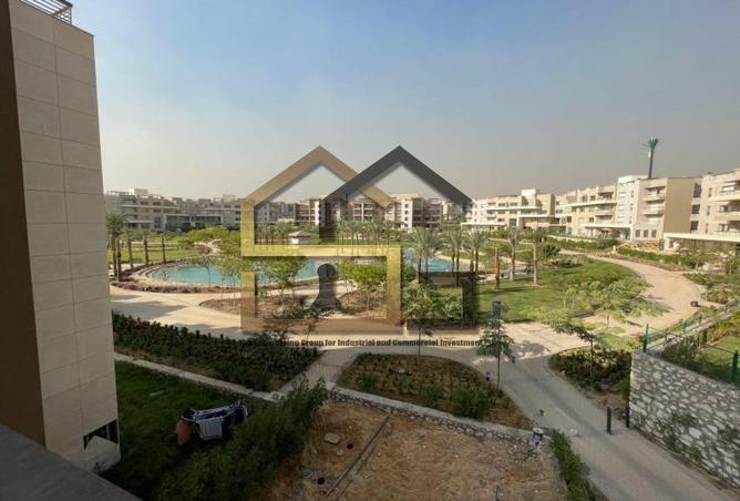 8129603 - Property Image 3