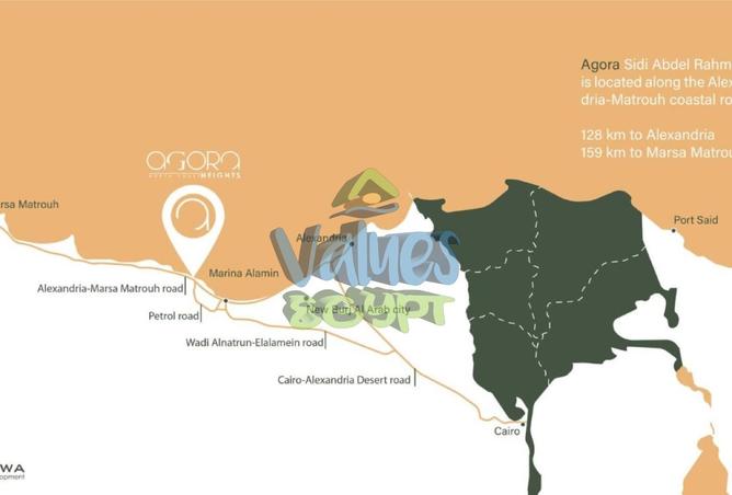 8172388 - صورة العقار 3